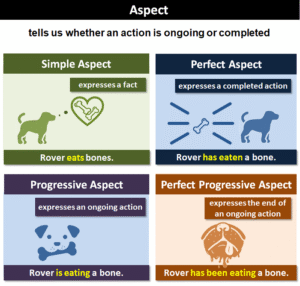 Aspect Ratio 16:9: Standar Emas dalam Dunia Visual Modern