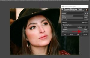 Menajamkan Foto: Seni Memperjelas Detail dan Menghidupkan Gambar Anda