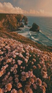 Menciptakan Visual yang Memikat: Panduan Lengkap Menuju Aesthetic Feed Instagram yang Sukses
