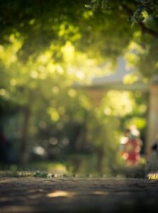 Mengungkap Kekuatan Tersembunyi di Balik Setiap Pixel: Panduan Lengkap Editing Foto untuk Pemula dan Lanjutan