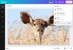 Tentu, mari kita bahas tuntas tentang watermark foto dalam sebuah artikel informatif.